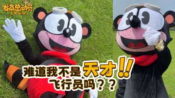 难道我不是天才飞行员吗？