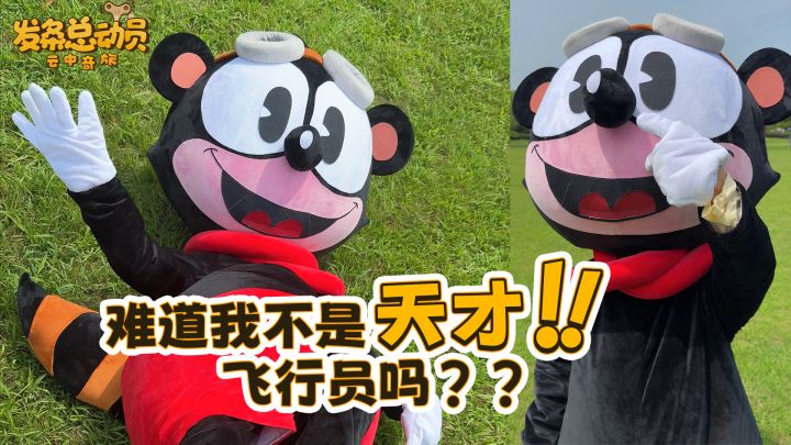 难道我不是天才飞行员吗?截图