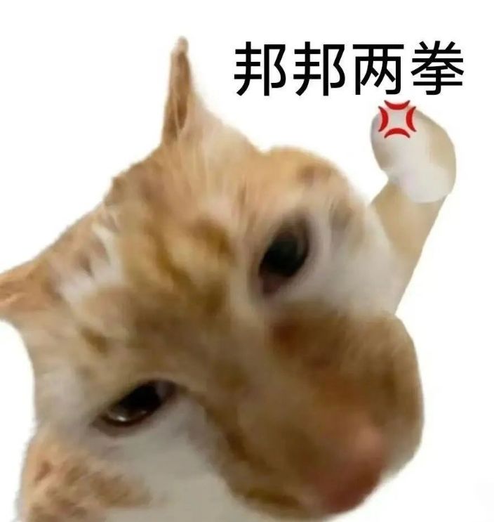可恶的大山贼 1