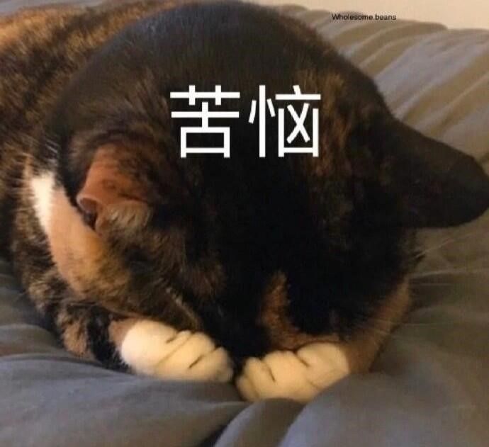 找个不肝不氪的游戏真的很难吗？截图