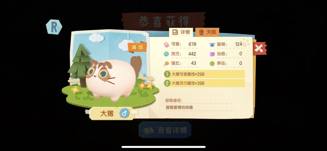 动态图片 5