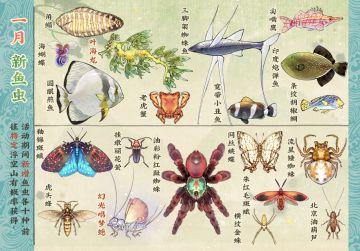 【仙山小农】更新预告·一月新鱼虫
