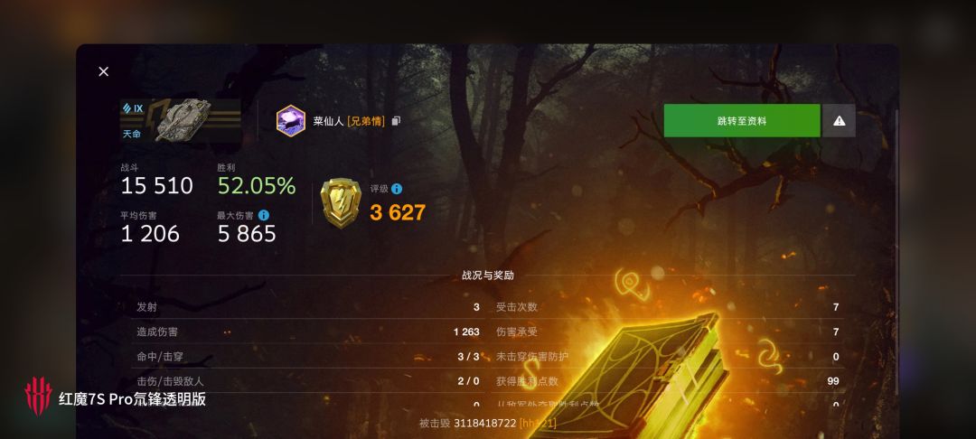 动态图片 12