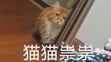 【莫比乌斯小知识】