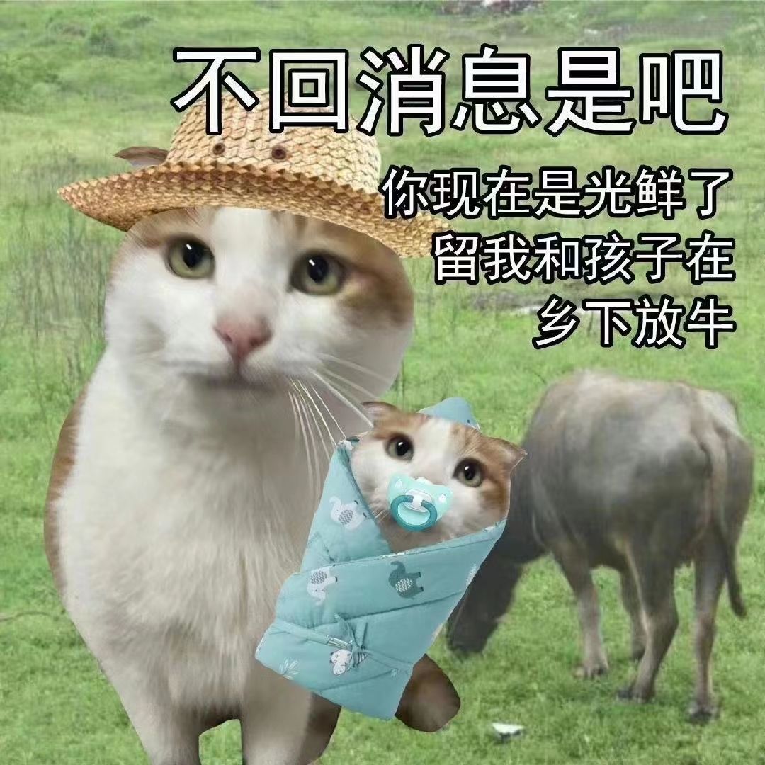 有没有特别喜欢动脑瓜子的感觉? 1