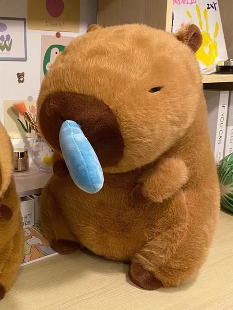 【已开奖】感恩节快乐~卡皮巴拉已送达🎁 2