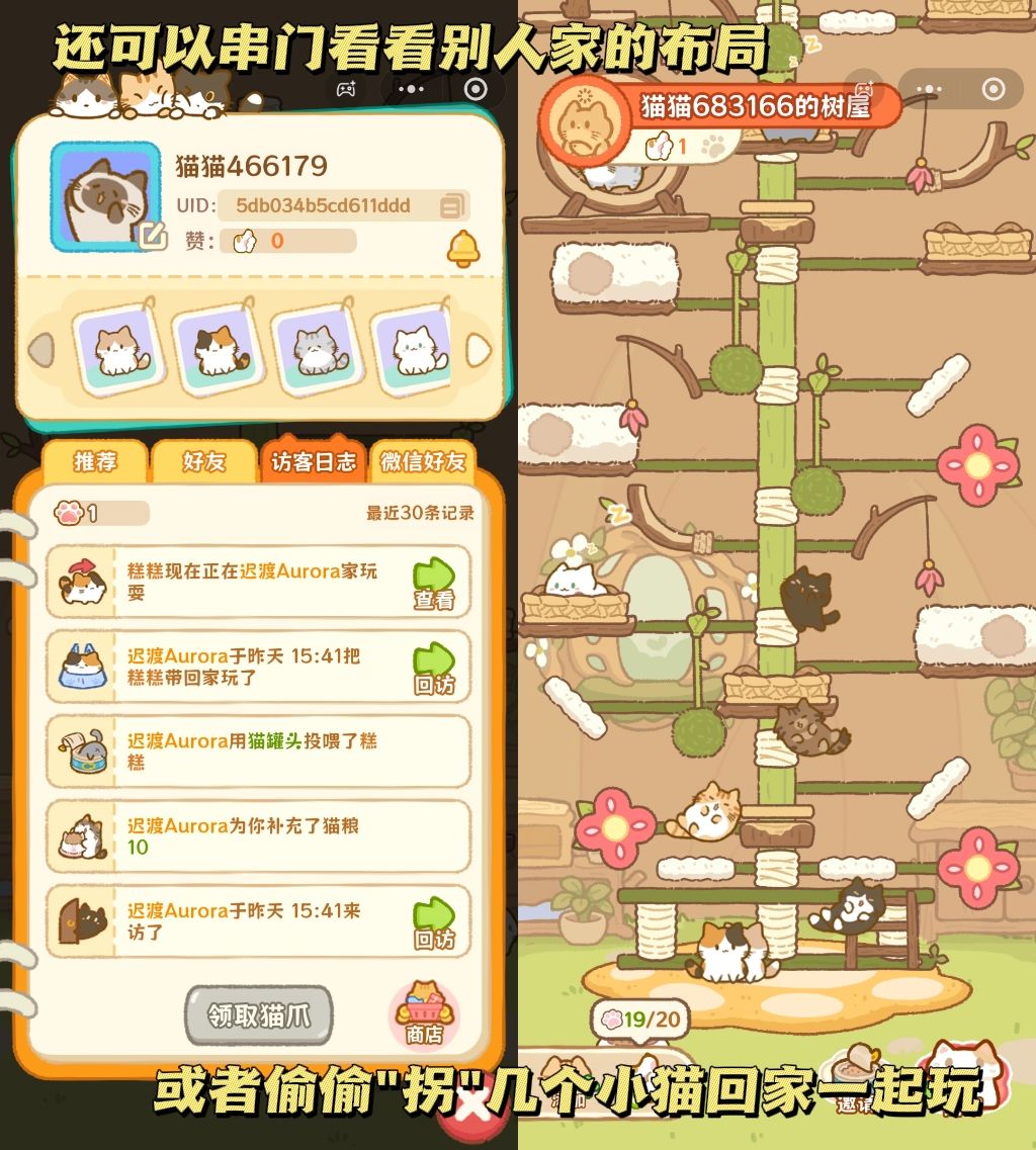 中国咪能飞!有这么可爱的猫你几点回家🐱 6