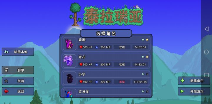 这个角色没有带宠物，还有宝箱米米一半，bug修复问题？截图