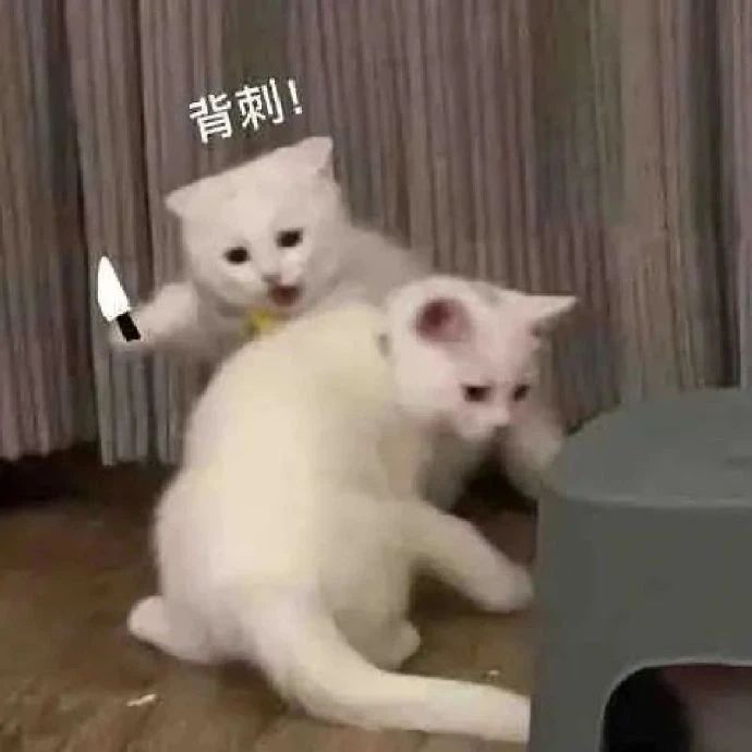 重新下回来存档没了，难道我当初就没点过一次上传云存档。。算了不耍了[表情_尬笑][表情_尬笑][表情_尬笑]截图