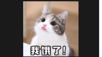 主线 教学关卡全收录（2023年6月24日版本）