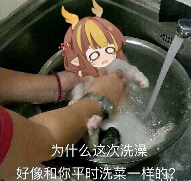 推不推荐骑士转斗士截图