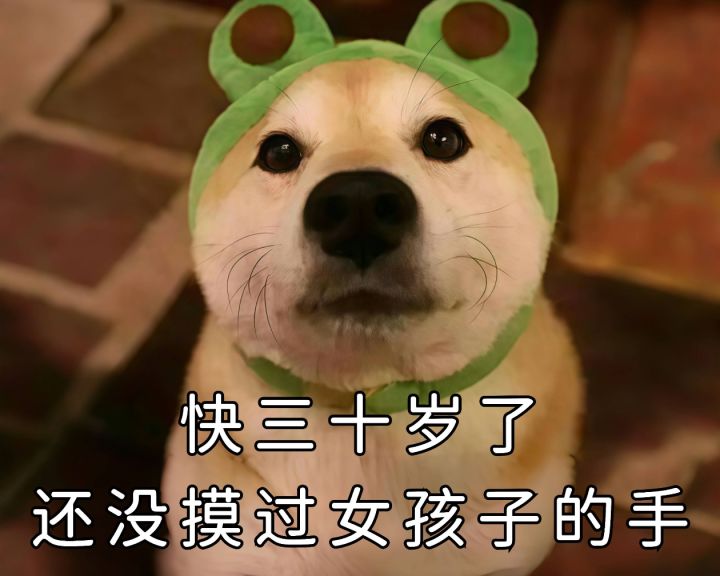 终于330国士无双截图