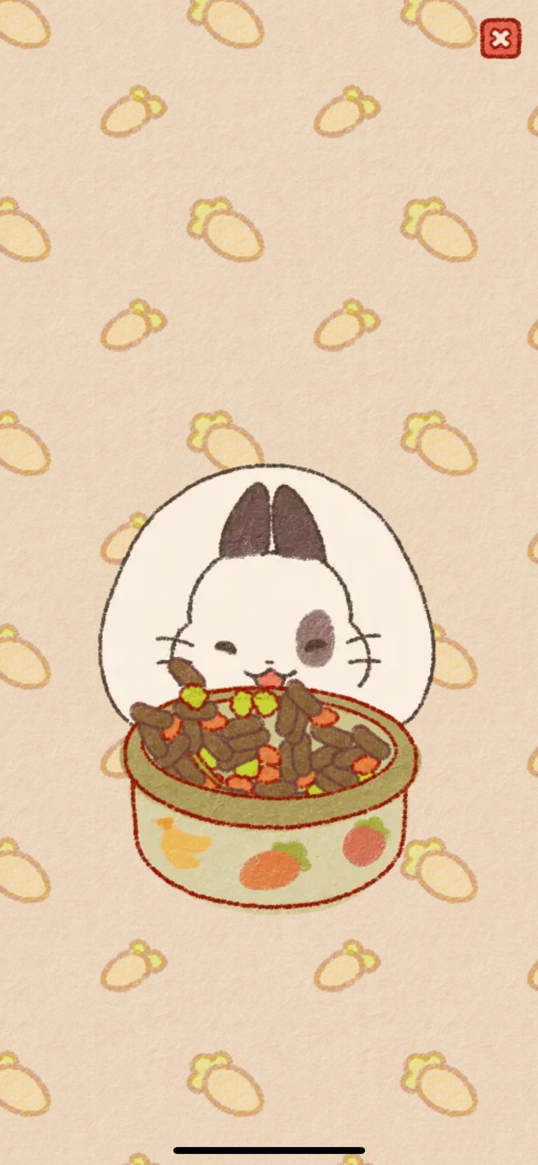 动态图片 13