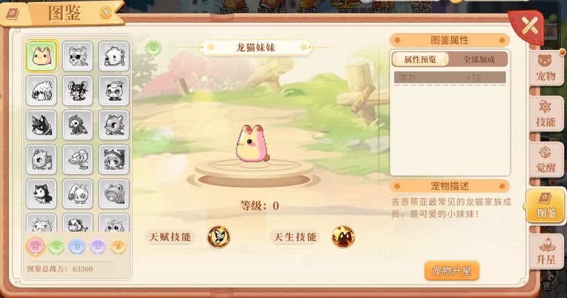 永恒岛之彩虹回忆,完美继承彩虹岛,回忆值拉满 3