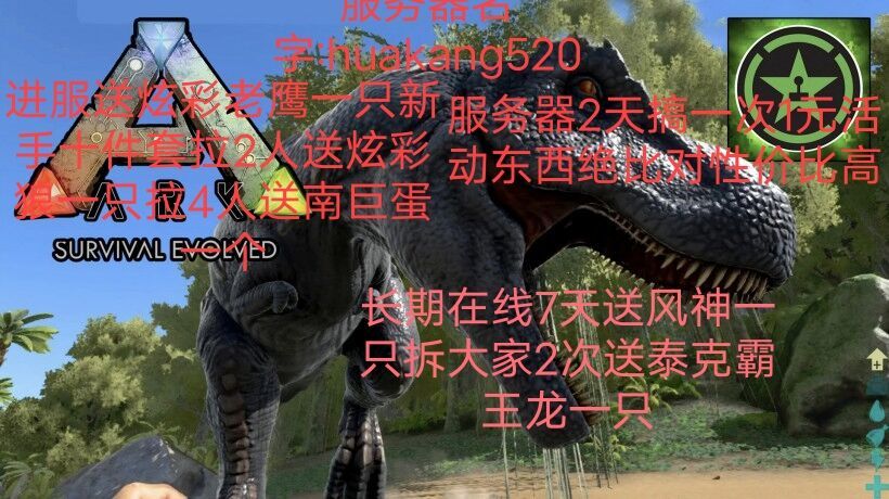 动态图片 2