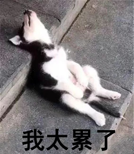 联机没有做好啊！截图