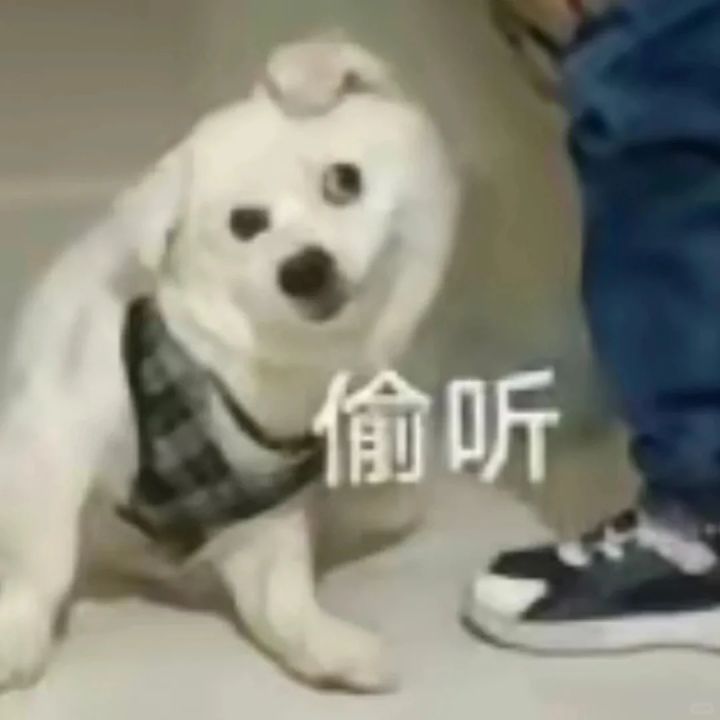 这个界面的BGM是什么٩(*´◒`*)۶截图