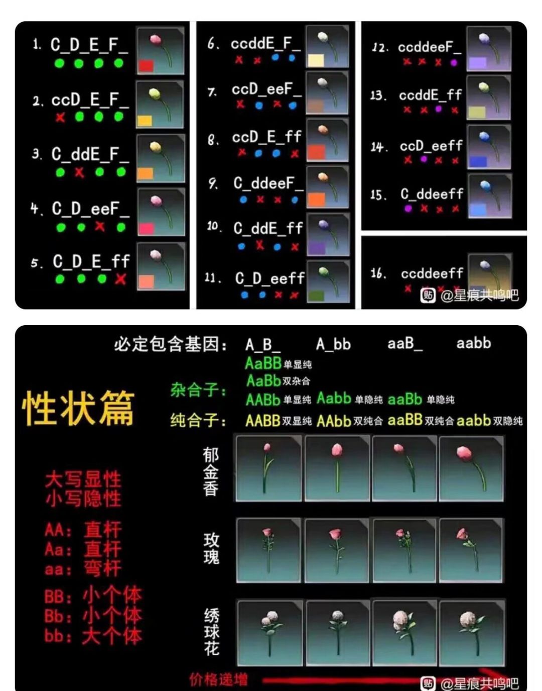 转发的种花攻略。 2