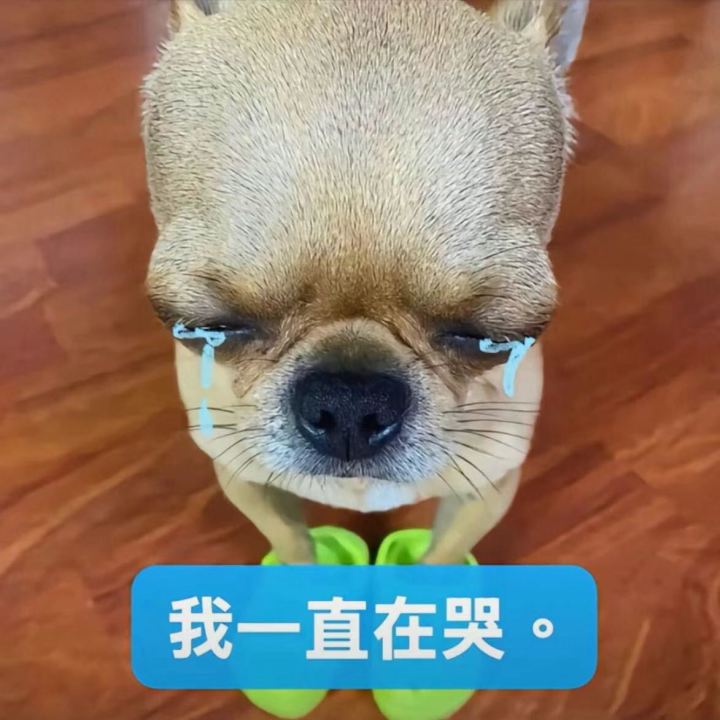 请问哪里可以下载到截图