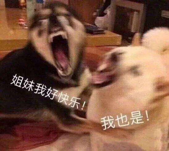 快开门,姐等不急了,丹恒丹恒你快出来截图
