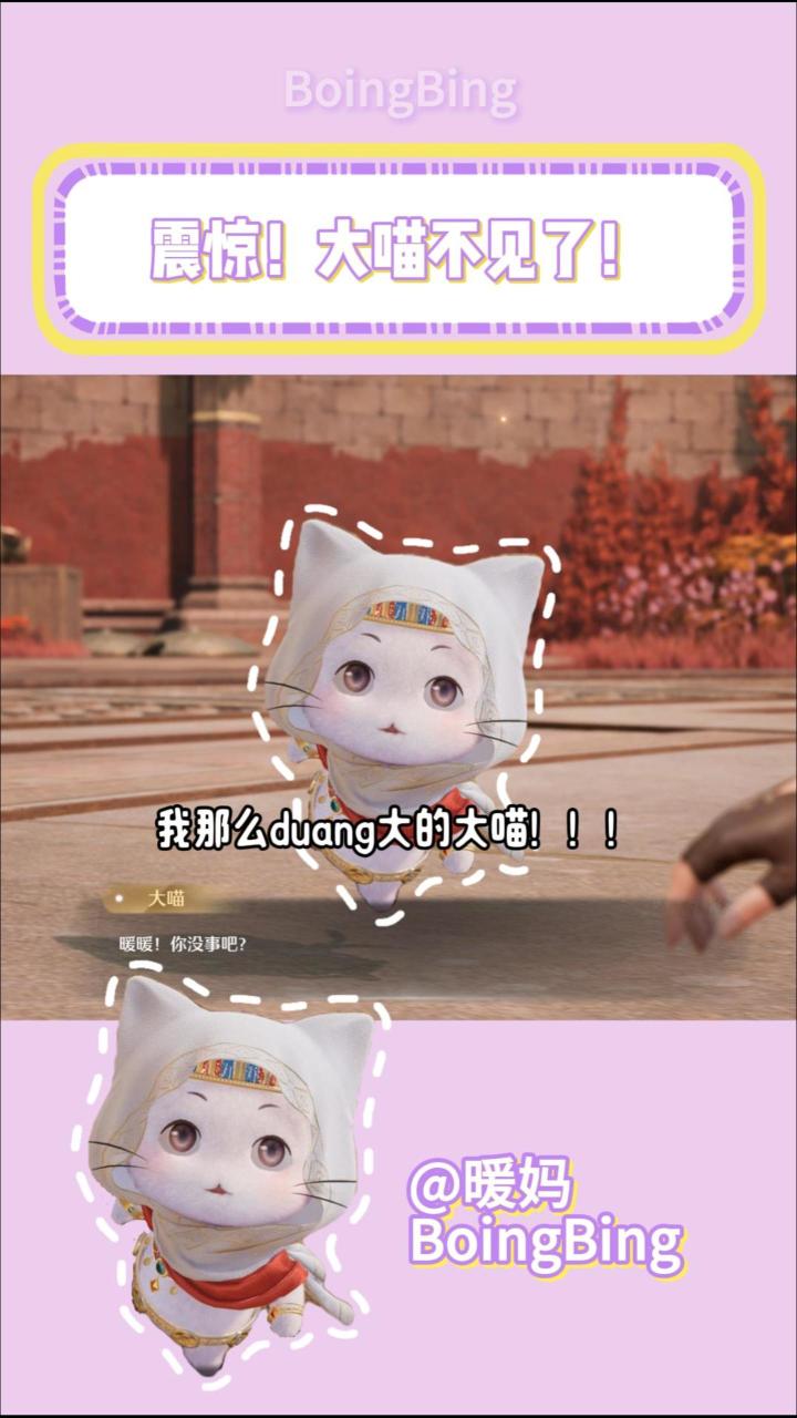 我那么duang大的大喵呢？跑哪儿去了？？？截图