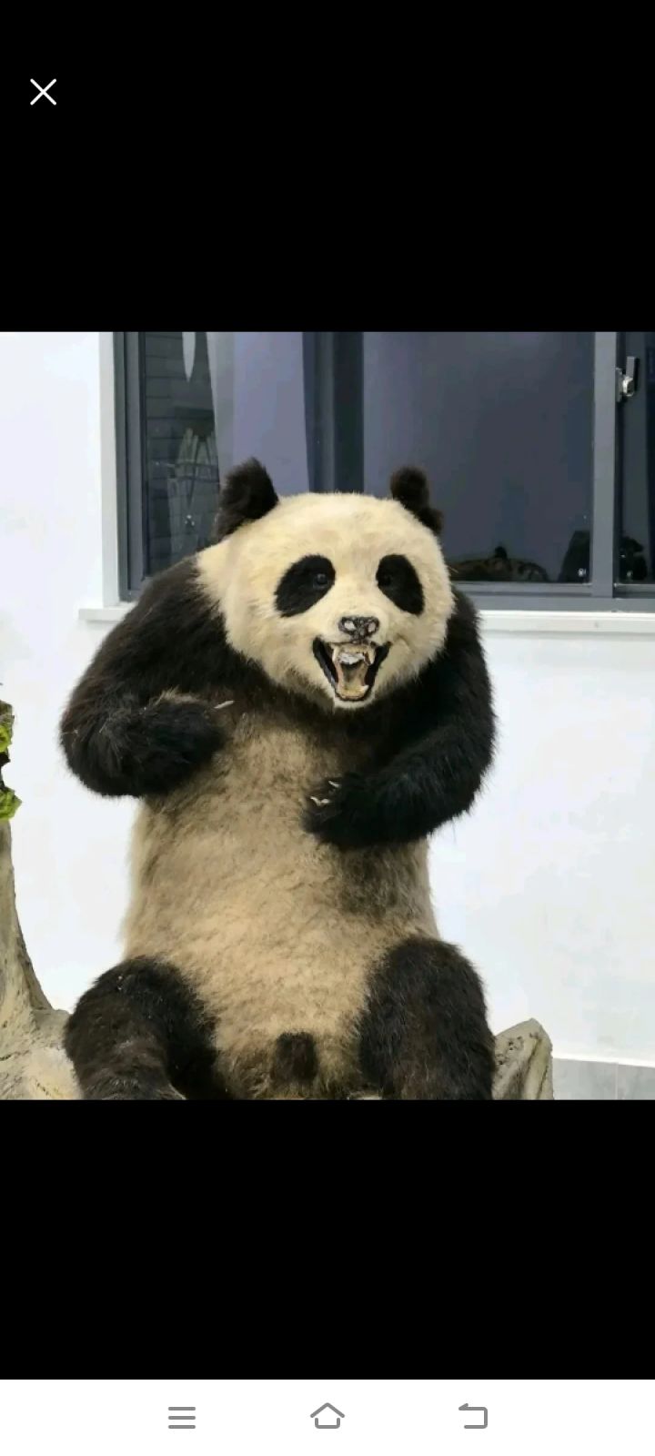 有生之年能玩到么截图