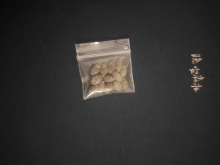 问一下这个是什么种子 水生还是陆生截图