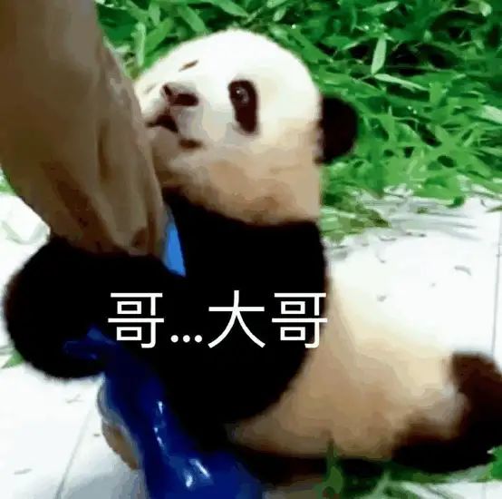关于一个萌新路过异环的游玩后的看法截图