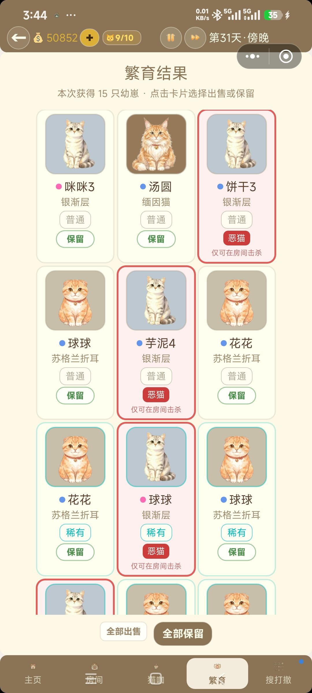 恶猫在哪杀,找不着 1