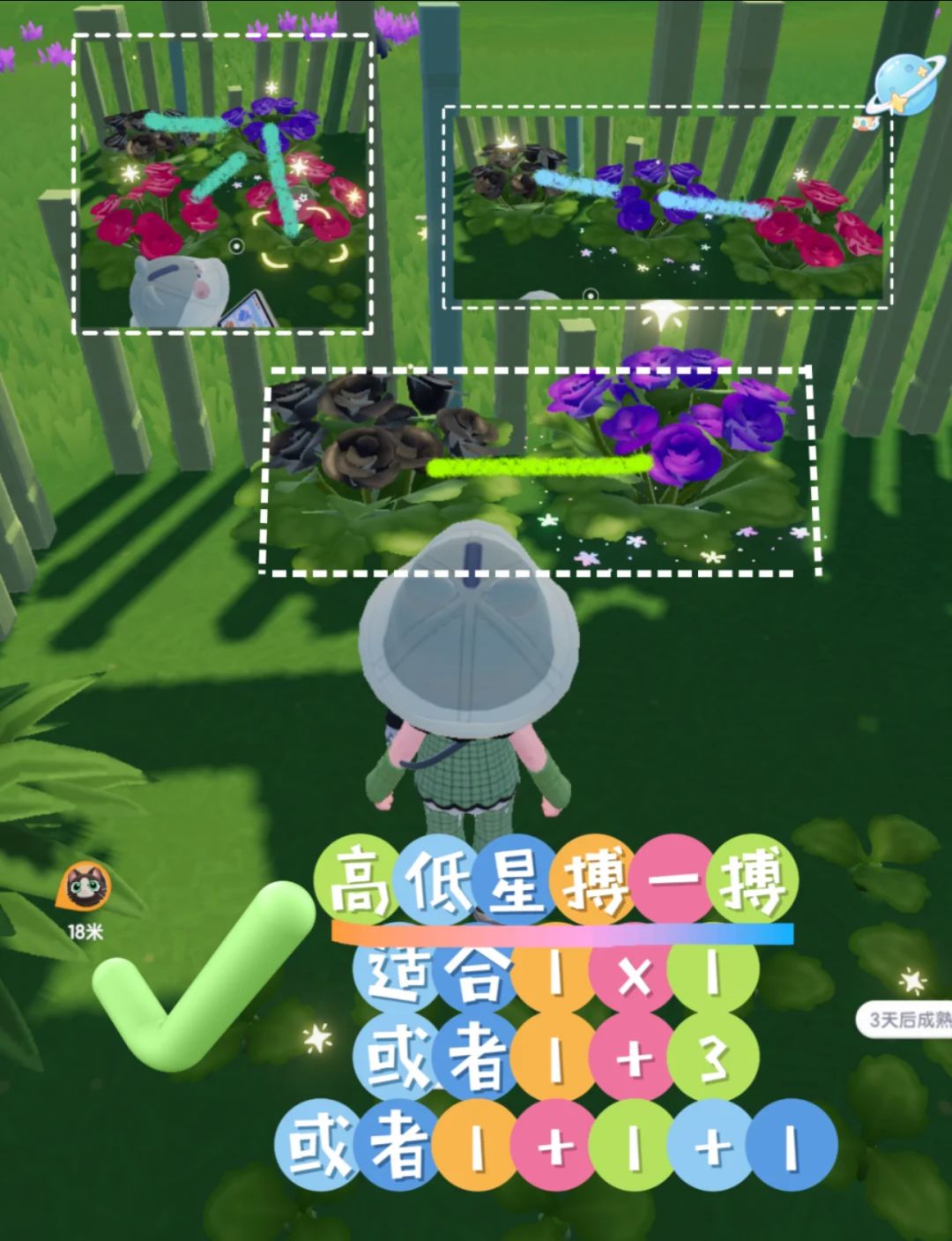 园艺全攻略 | 风信子蝴蝶兰牡丹通用 2