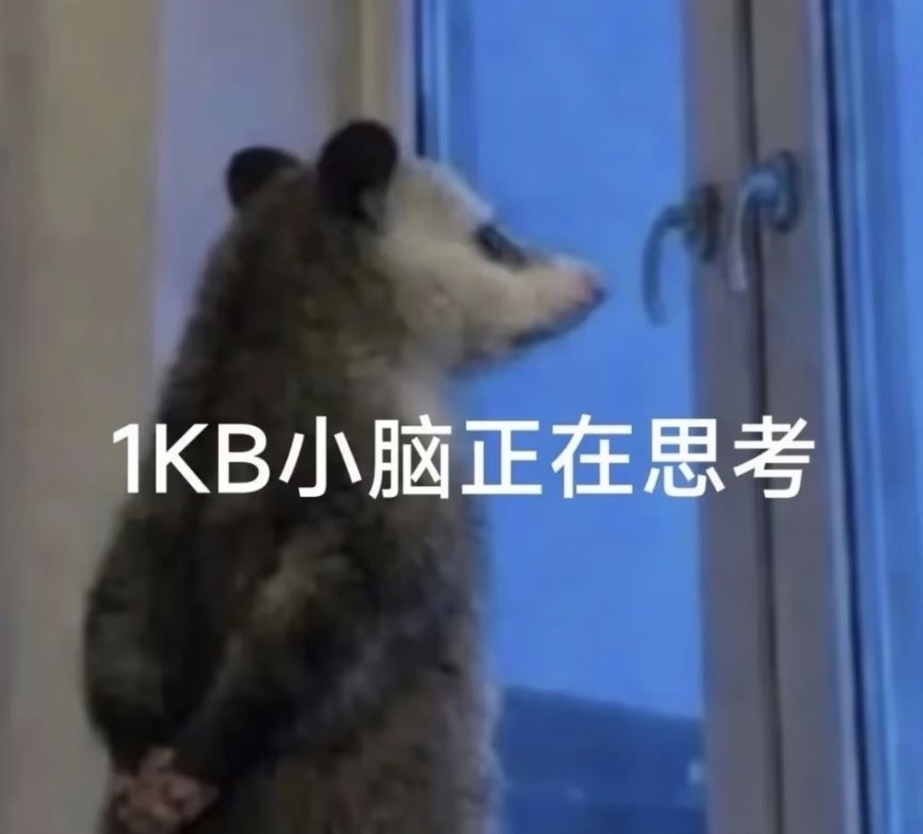 开发者日记1 2