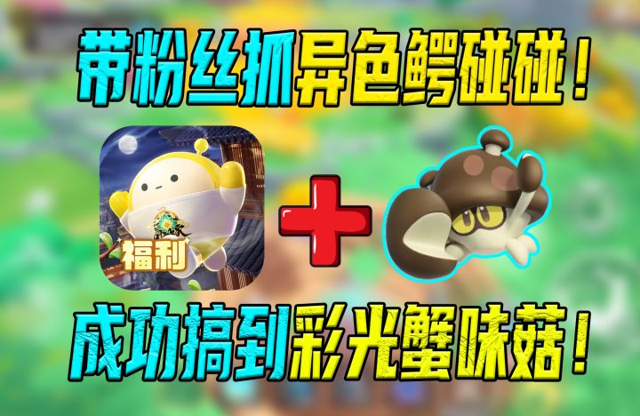 蛋仔派对:带一千位粉丝抓艾比,成功拿下异色鳄碰碰!截图
