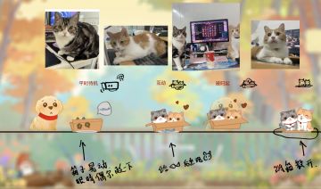 幼犬皮皮首次出现猫咪！而且是两个！