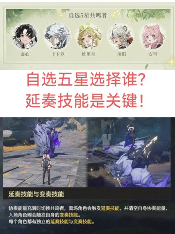 公测自选五星选择谁？新手最容易忽视这点