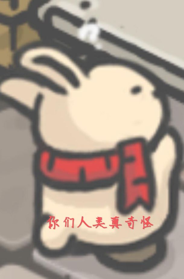 动态图片 7