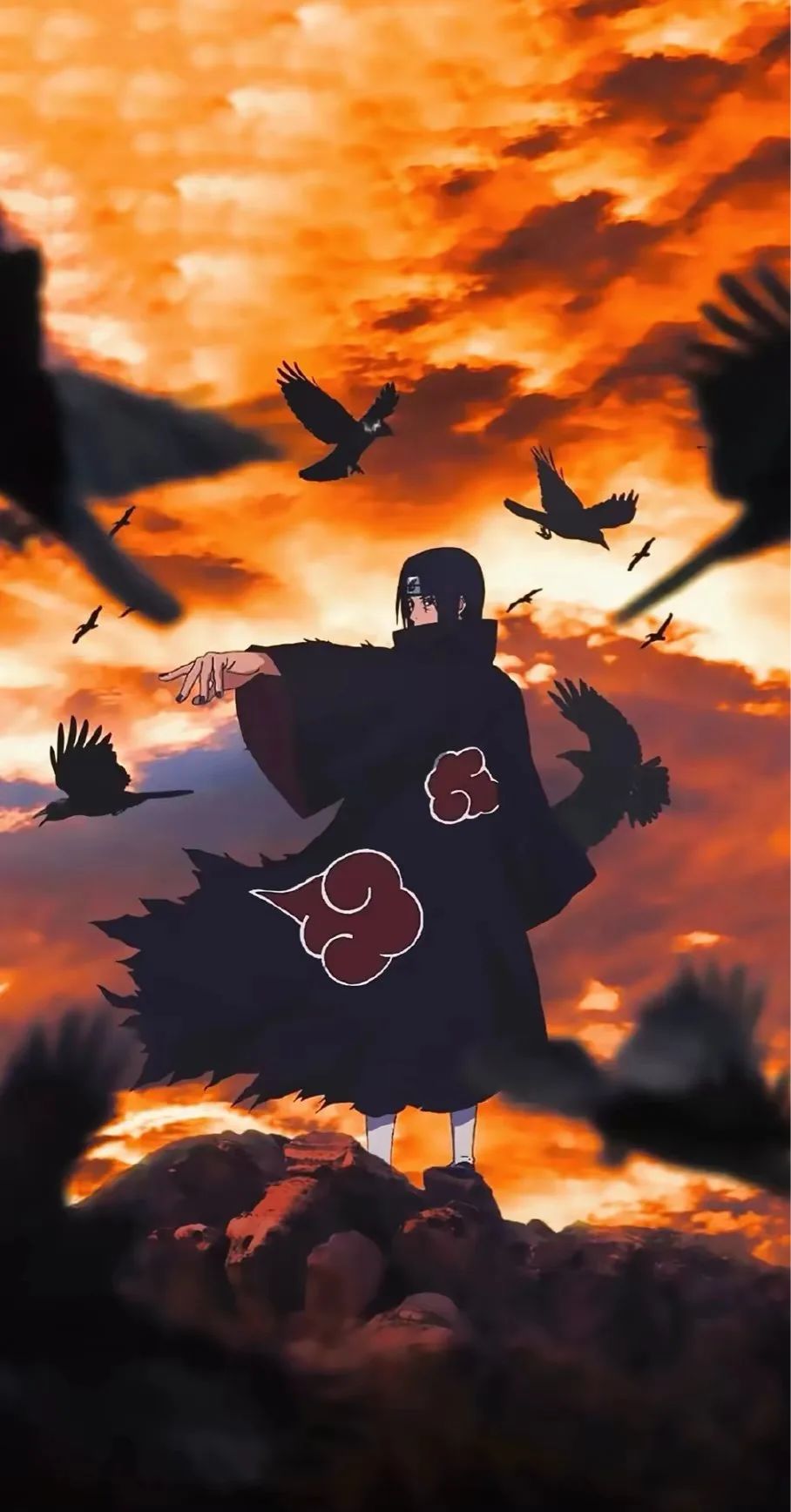 火影 1