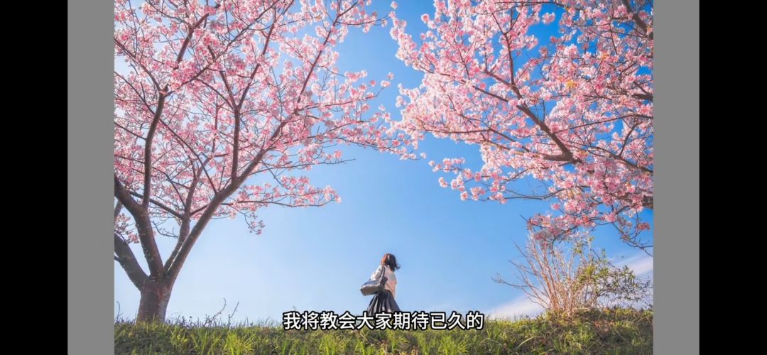 游戏闪退有和我一样的不 1