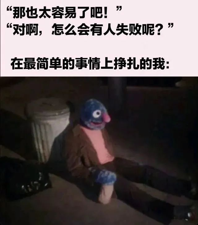 今日份梗图分享 3