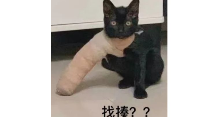 肝帝的决心截图