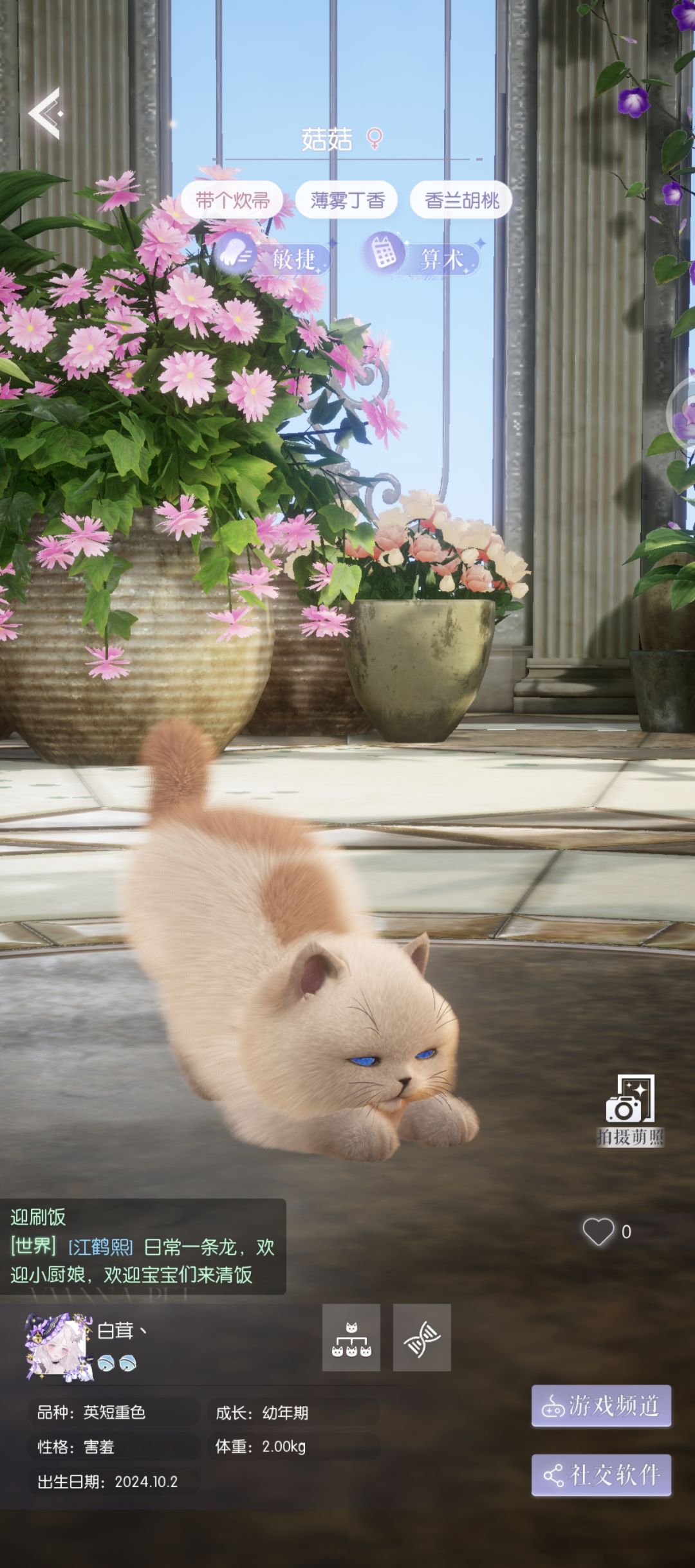 猫咪约娃亲!保证准点开盒! 2