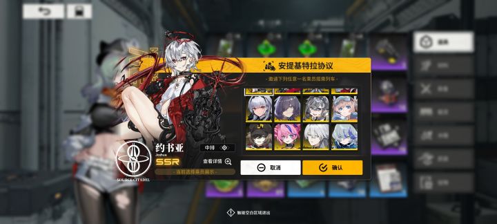 自选ssr选哪个？截图