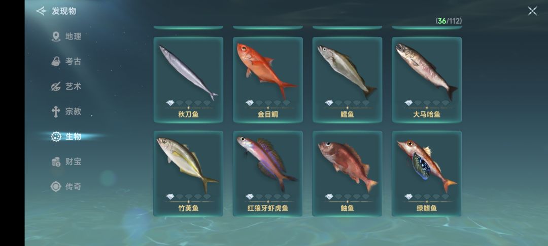 篝火测试阶段发现物 4