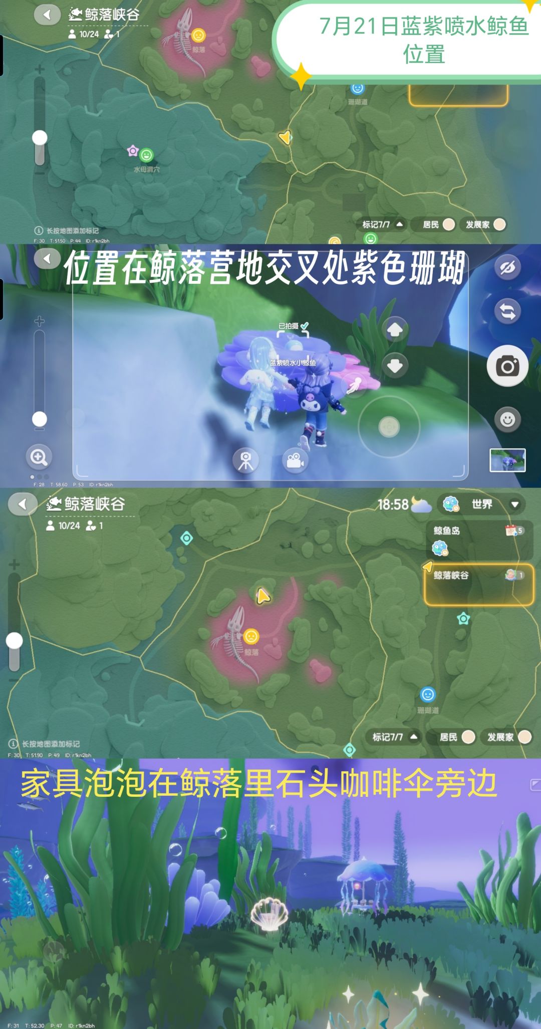 寻鲸季小鲸鱼各位置(今天更新) 12