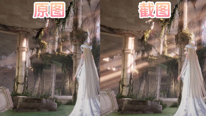 截图小白➡️光影大师...这技巧让我出片率暴涨200%截图