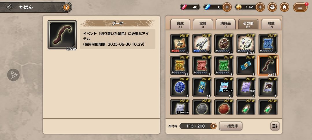 有大佬知道这个靴子怎么用吗 2