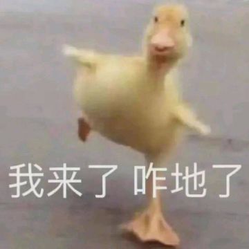 摇光一起结义！！