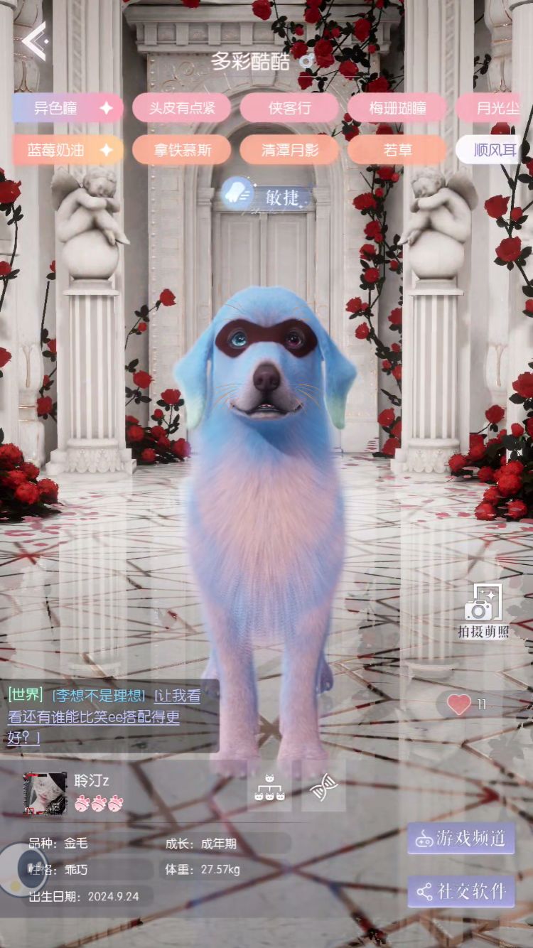 动态图片 3