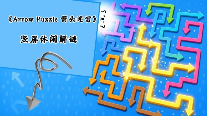 《Arrow Puzzle 箭头迷宫》——轻操作、强反馈，碎片时间玩正好截图