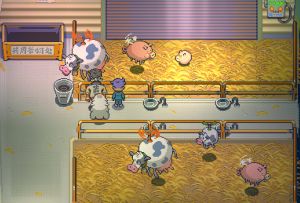 海鸥镇动物在哪里？跟随约翰和珊一起去看看吧ʕ •ᴥ•ʔ