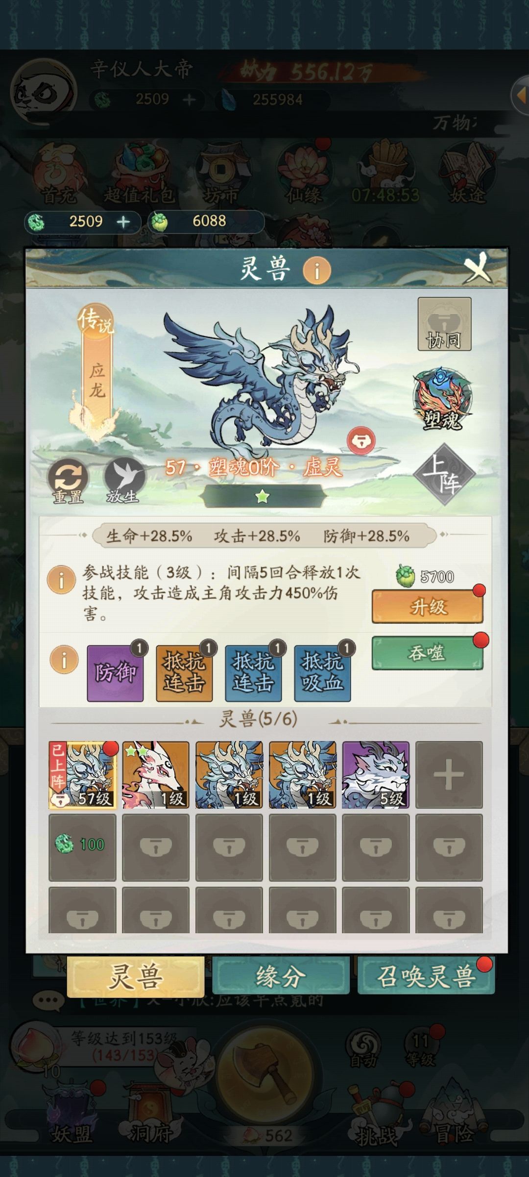 这只龙养吗 1